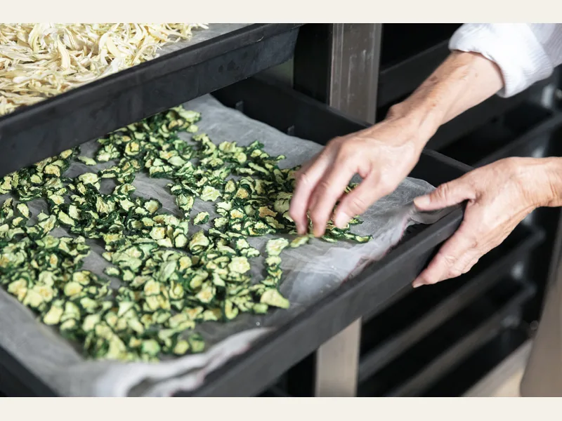 Vegetables arranged for controlled dehydration