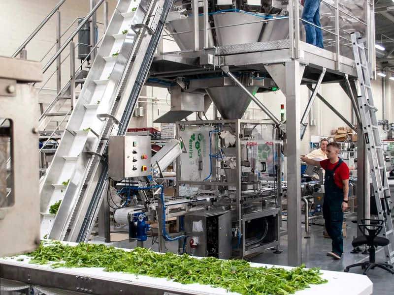 Modern food processing and packing technology