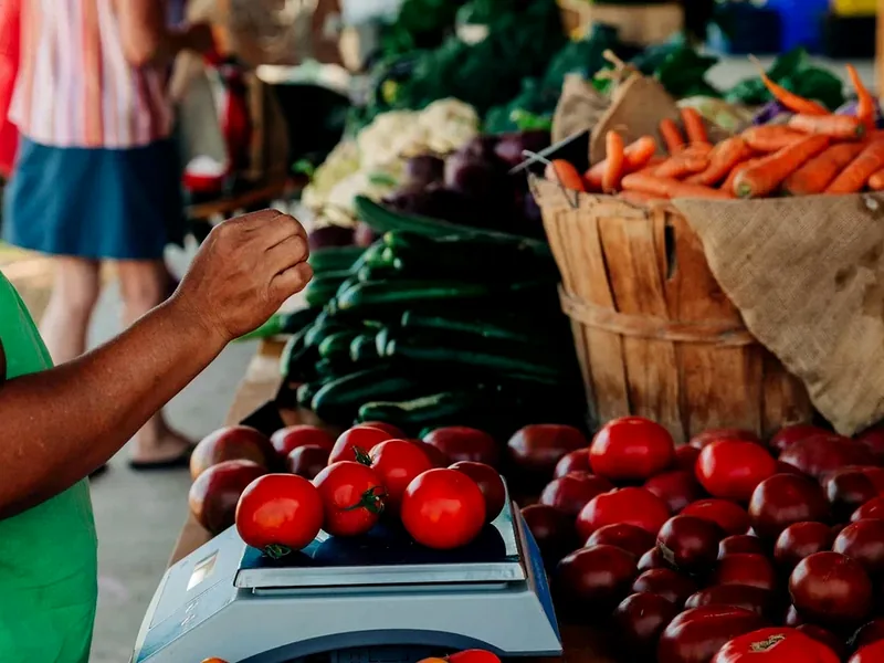 Natural fresh vegetables and ingredients