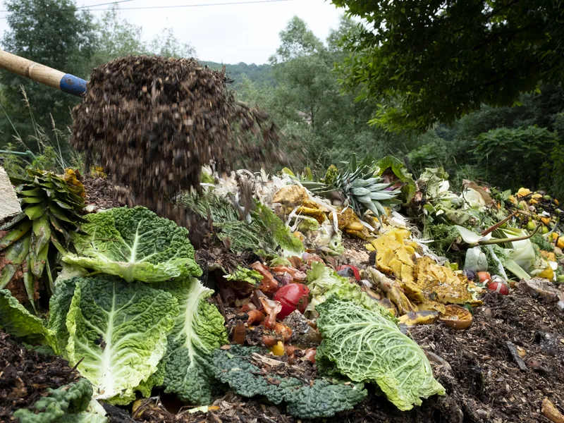 Sustainable produce and green ingredients